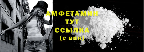 амф Коряжма