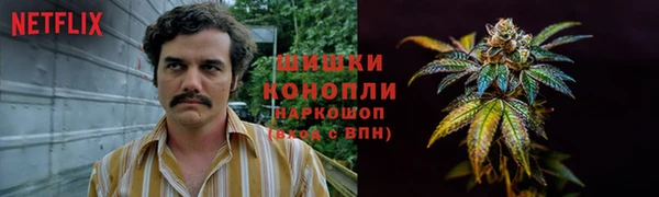 мдпв Кодинск