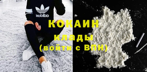 твердый Козловка