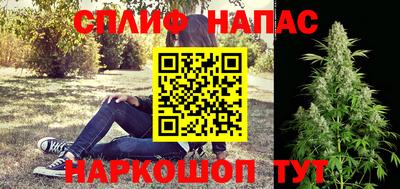 гидра Нарткала